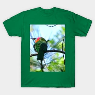 A SPLASH OF RED BEARDED BEE EATER T-Shirt